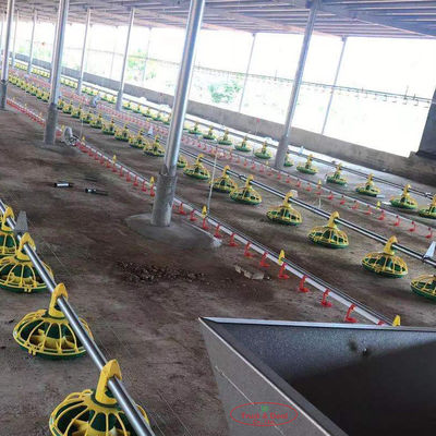 Chicken Drinking Automatic Pan Feeding System For Poultry Farming Equipment