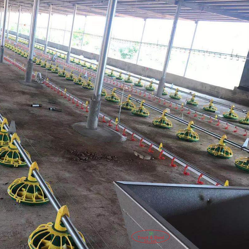 Chicken Drinking Automatic Pan Feeding System For Poultry Farming Equipment