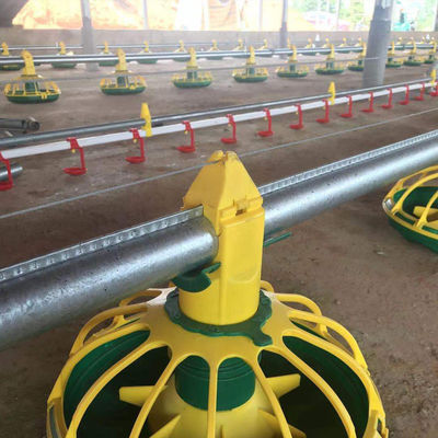 Kanatlı Otomatik Burgu Broiler Tava Besleme Sistemi Tavuk Suyu İçme Sistemi
