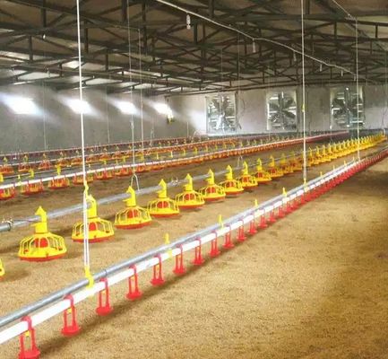 Su Hattı Otomatik Tava Besleme Sistemi Tavuk Kümes Hayvanları Nipel İçme Ekipmanları